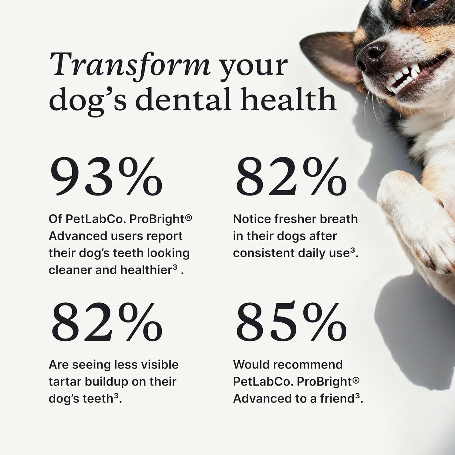 image:imagePetLab Co ProBright Advanced Dental Powder Dog Breath Freshener Teeth Cleaning Made Easy Targets Tartar amp Bad Breath Packaging May Vary Formulated for Small DogsLarge Dogs