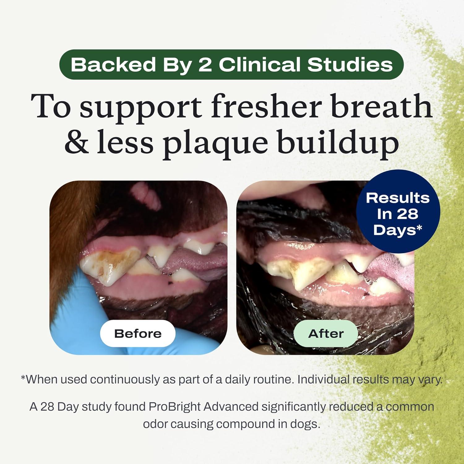 image:imagePetLab Co ProBright Advanced Dental Powder Dog Breath Freshener Teeth Cleaning Made Easy Targets Tartar amp Bad Breath Packaging May Vary Formulated for Small DogsSmall Dogs