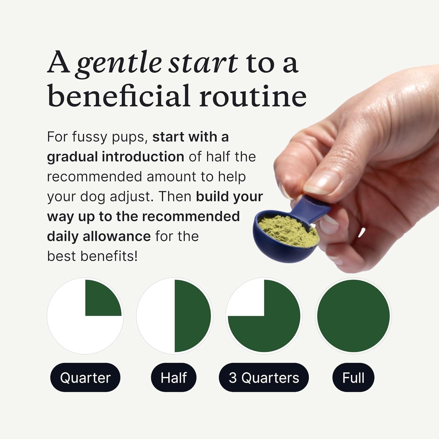 image:imagePetLab Co ProBright Advanced Dental Powder Dog Breath Freshener Teeth Cleaning Made Easy Targets Tartar amp Bad Breath Packaging May Vary Formulated for Small DogsLarge Dogs