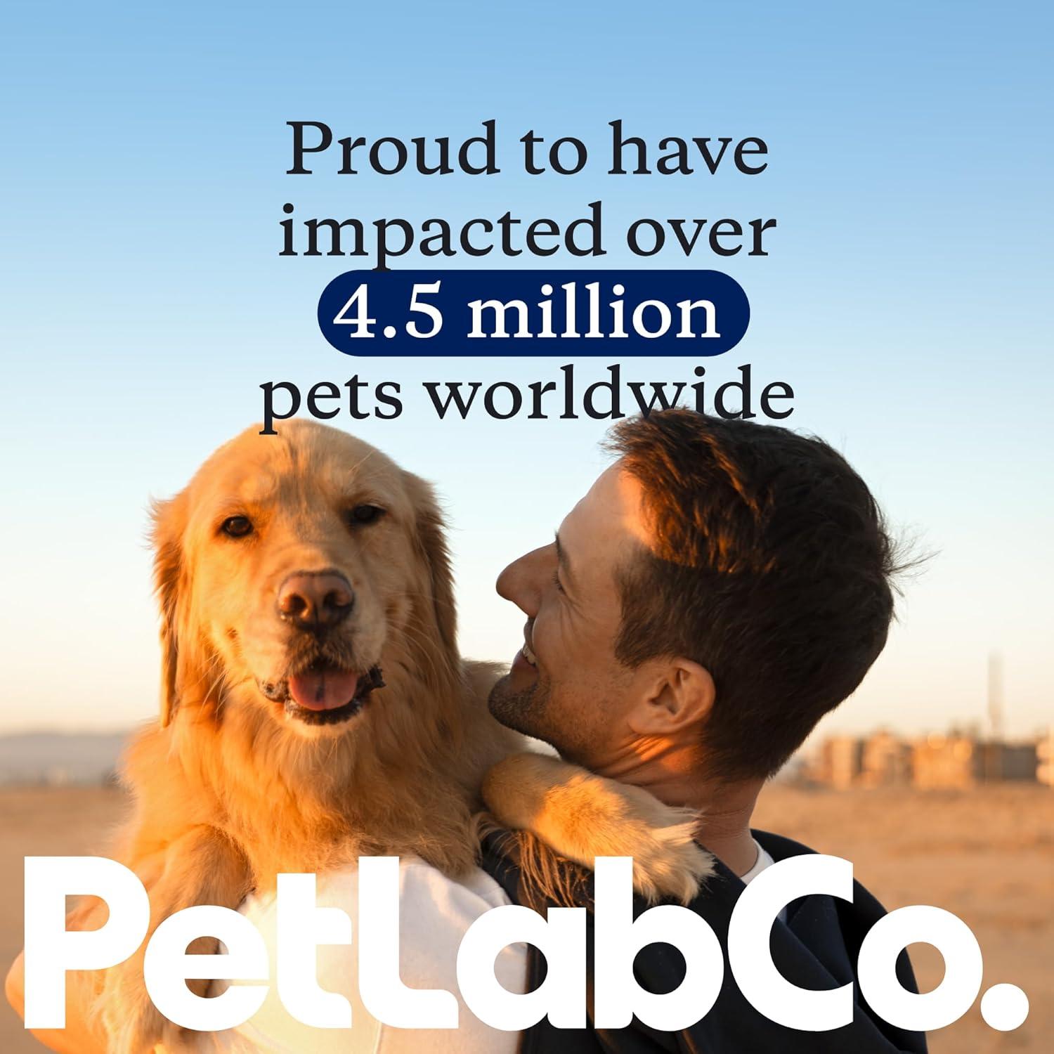 image:imagePetlab Co Itch Relief Mousse Moisturize Deodorize amp Support Dry Skin with This Dry Dog Shampoo Unique QuickDry Formula Delivers Support to Promote Coat Comfort