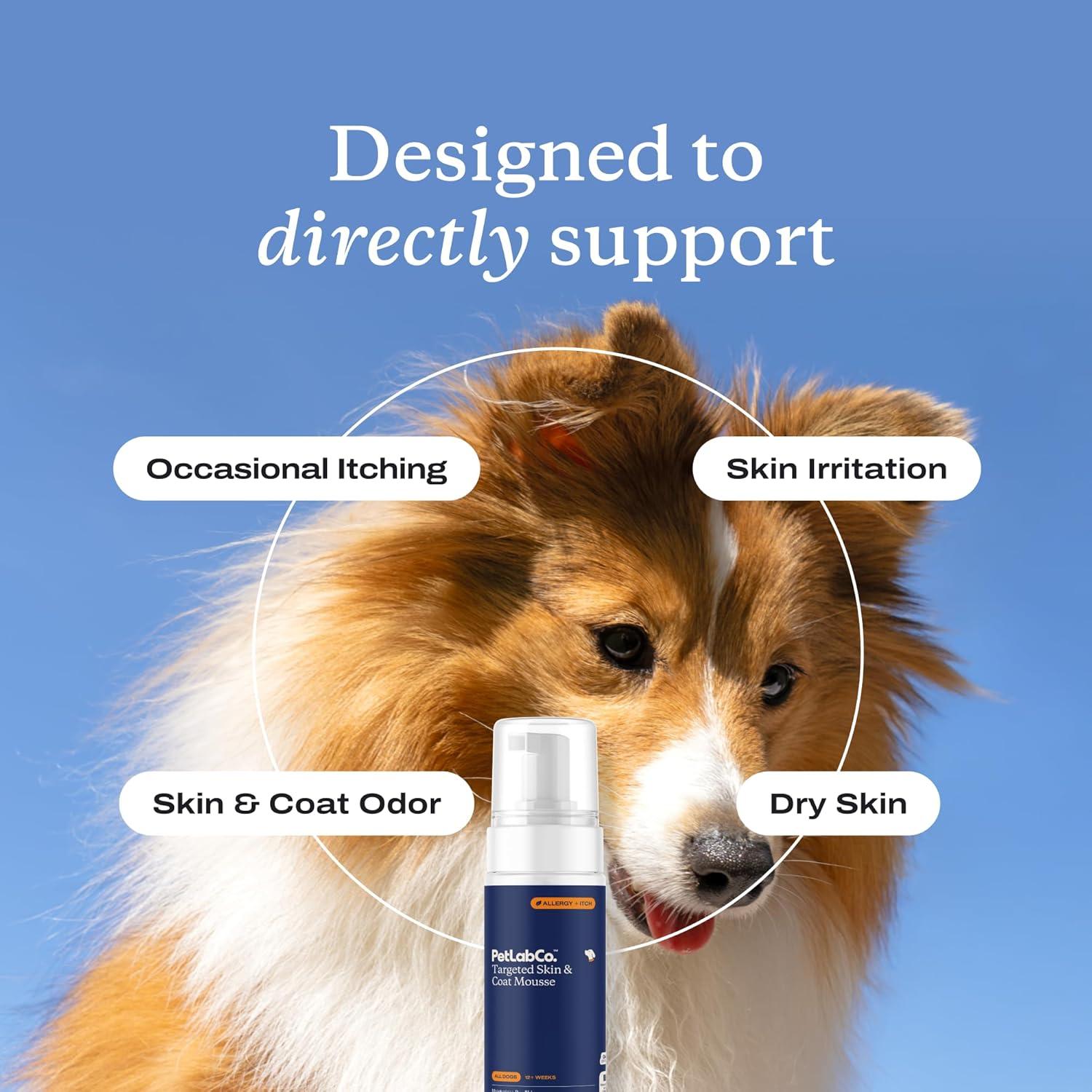 image:imagePetlab Co Itch Relief Mousse Moisturize Deodorize amp Support Dry Skin with This Dry Dog Shampoo Unique QuickDry Formula Delivers Support to Promote Coat Comfort