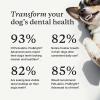 PetLab Co. ProBright Advanced Dental Powder – Dog Breath Freshener – Teeth Cleaning Made Easy – Targets Tartar & Bad Breath – Packaging May Vary – Formulated for Small Dogs(Extra Small Dogs)