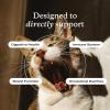 PetLab Co. Probiotics for Cats, Support Gut Health, Occasional Diarrhea, Digestive Health & Immune Support – Easy to Use – 30 Count