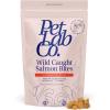 Petlab Co. Wild Caught Salmon Freeze-Dried Dog Treats, Support Overall Skin Health with Healthy Dog Treats, Packed with Beneficial Fatty Acids, Vitamins, & Minerals – Packaging May Vary(Wild Caught Salmon)