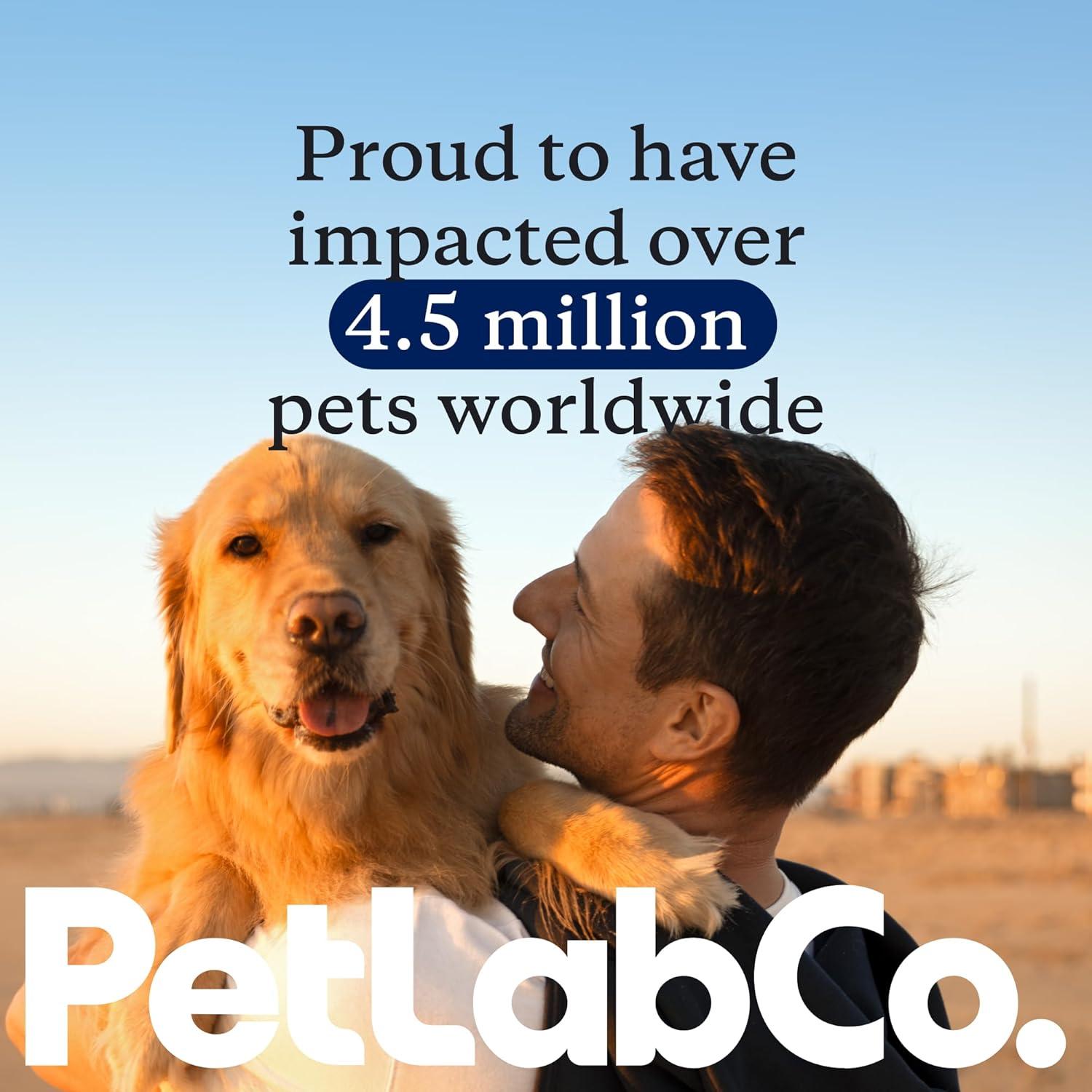 image:imagePetLab Co Salmon Bites for Dogs Rich in Beneficial Fatty Acids Vitamins amp Minerals Premium Salmon Dog Treats Your Pup Will Drool Over Carefully Selected Ingredients Delicious Reward