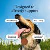 PetLab Co – Gut & Allergy Bundle: Pumpkin Powder Blend for Firm Stools & Healthy Digestion & Allergy & Immune Probiotic Soft Chews to Support Immune Response