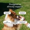 PetLab Co. – Mobility & Gut Health Bundle: Dog Probiotic for Gut Health, Healthy Yeast Production, & Seasonal Allergies 30 Count & Joint Supplement for Dogs Supporting Mobility & Occasional Stiffness