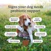 PetLab Co. Probiotics for Dogs, Support Gut Health, Occasional Diarrhea, Digestive Health & Seasonal Allergies – Pork Flavor – 30 Soft Chews – Packaging May Vary (Value 2-Pack)(Value 2-Pack)