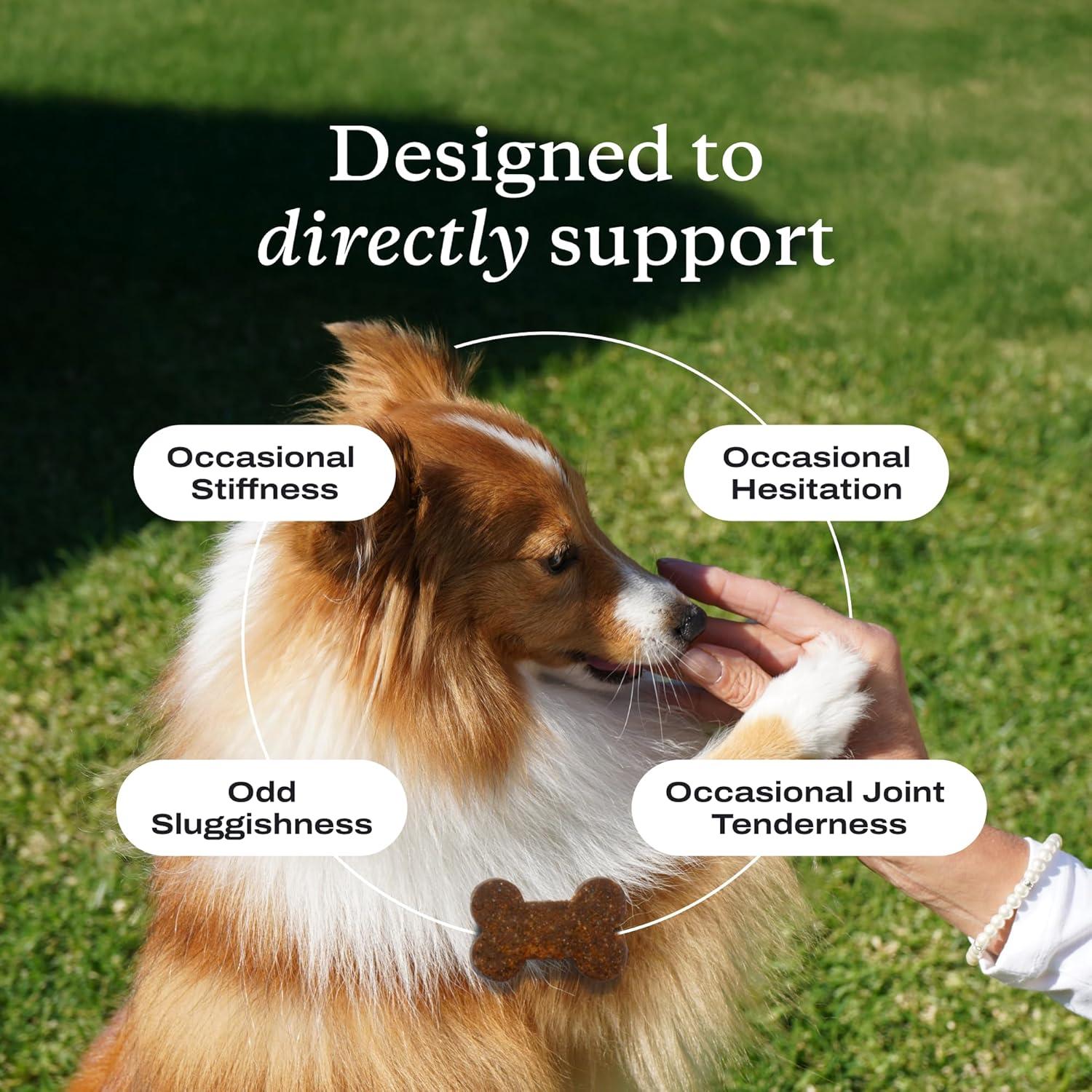 image:imagePetlab Co Joint Care Chews for Dogs High Levels of Glucosamine Green Lipped Mussels Omega 3 and Turmeric Hip and Joint Supplement for Dogs to Actively Support Mobility Packaging May VarySalmon