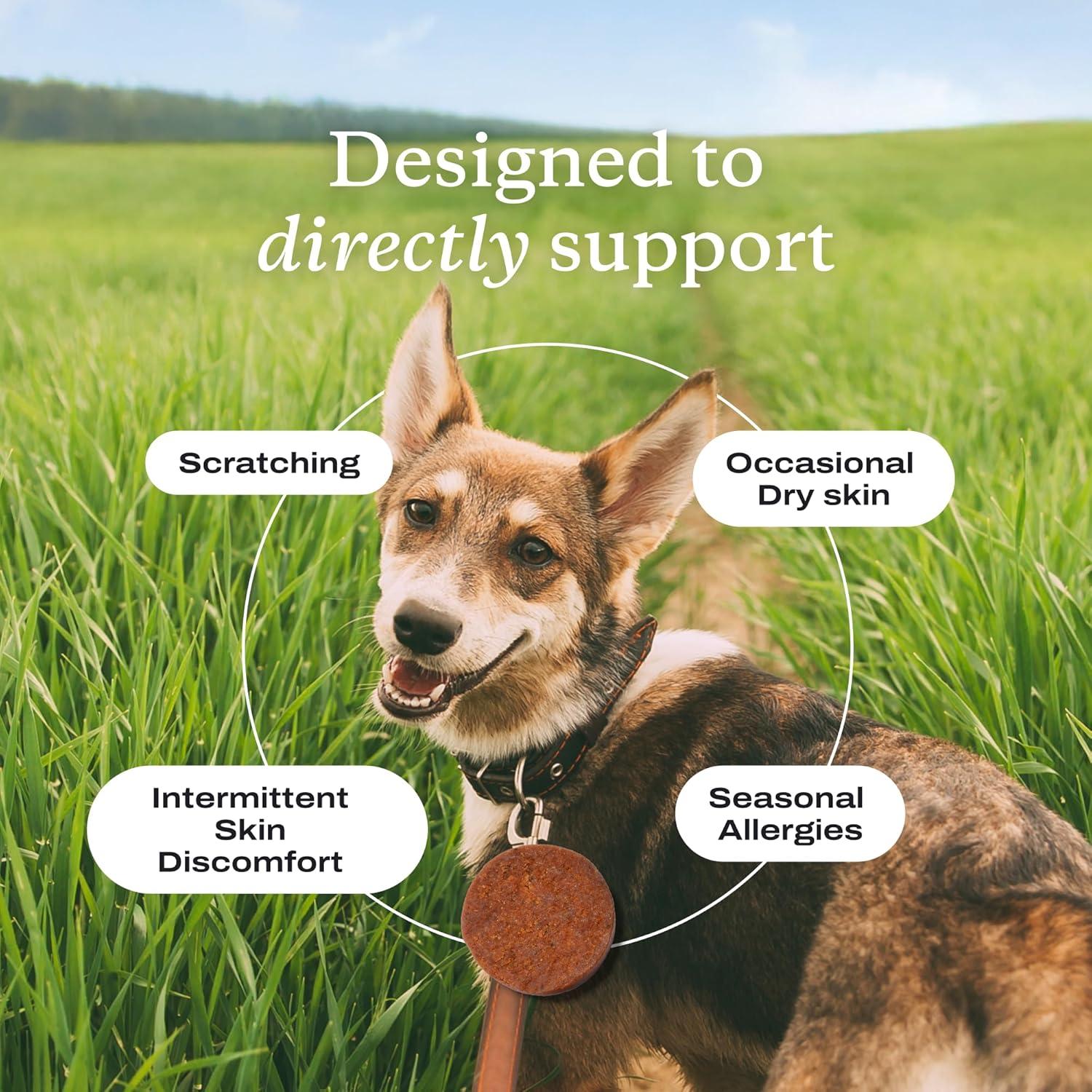image:imagePetLab Co Itch amp Breath Bundle Dental Powder for Fresh Breath in just 1 Scoop for Large Dogs amp Salmon Itch Relief Chew Pro Effortless Seasonal Allergy Support