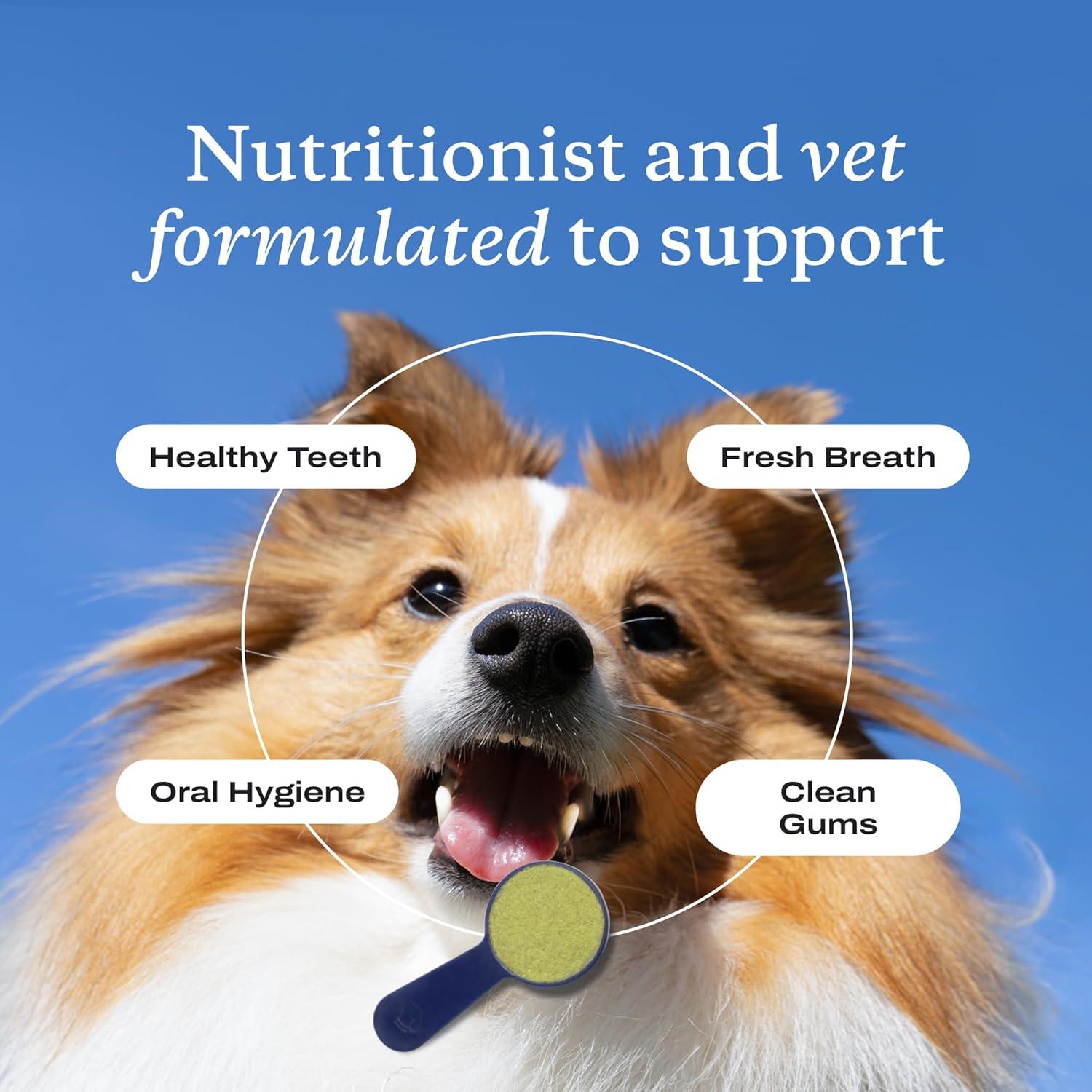 image:imagePetLab Co Itch amp Breath Bundle Dental Powder for Fresh Breath in just 1 Scoop for Large Dogs amp Salmon Itch Relief Chew Pro Effortless Seasonal Allergy Support