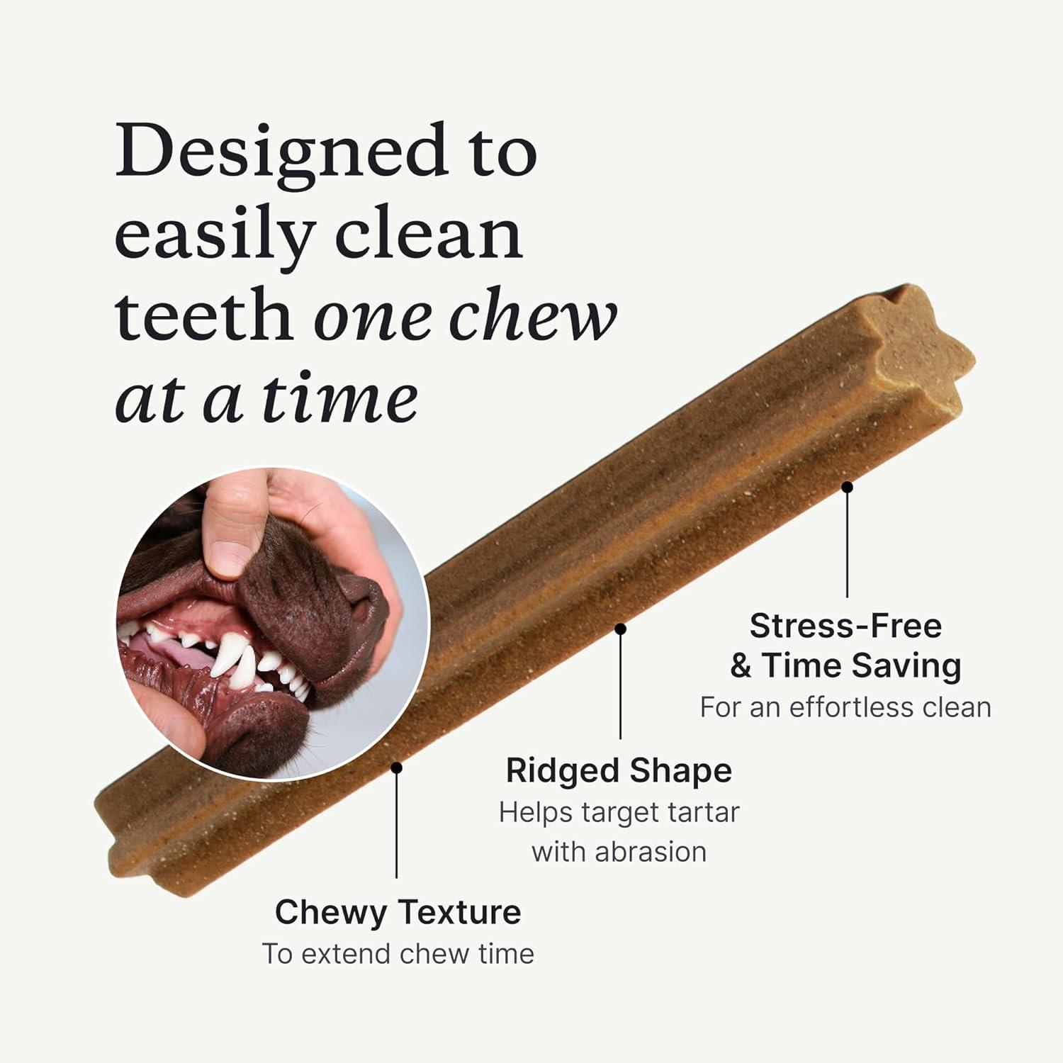 image:imagePetLab Co Total Teeth Care Bundle Dental Powder for an Effortless Deep Clean in 1 Scoop for Medium Dogs amp Dental Chews Target Dirt amp Tartar BuildUp Easy to Use