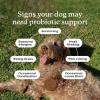PetLab Co. – Gut & Ear Health Bundle: Probiotics for Dogs, Support Gut Health & Seasonal Allergies, & Ear Cleaner for Dogs, Supporting Yeast & Healthy Ear Canals – Easy to use Formulas