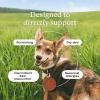 PetLab Co. – Itch & Ear Bundle: Dog Itch Relief Helps Support Dry, Itchy Skin Daily 30 Count & Support Ear Hygiene & Health with Our Dog Ear Wash. Formulated to Moisturize, and Cleanse Ears 4 Ounces