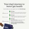 PetLab Co. – Gut & Digest Daily Duo: Pumpkin Powder Blend for Easy Digestion & Firm Stools for Small/Medium/Large Dogs & Salmon‑Flavoured Probiotic Chews to Support Gut & Immune Balance – Easy to Use