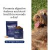 PetLab Co. – Gut & Digest Daily Duo: Pumpkin Powder Blend for Easy Digestion & Firm Stools for Small/Medium/Large Dogs & Salmon‑Flavoured Probiotic Chews to Support Gut & Immune Balance – Easy to Use