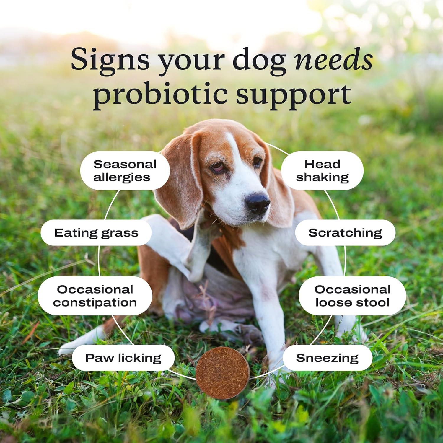 image:imagePetLab Co Probiotics for Dogs Support Gut Health Occasional Diarrhea Digestive Health amp Seasonal Allergies Salmon Flavor 30 Soft Chews Pack of 3