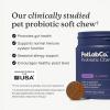 PetLab Co. Probiotics for Dogs, Support Gut Health, Occasional Diarrhea, Digestive Health & Seasonal Allergies – Salmon Flavor – 30 Soft Chews – Pack of 3